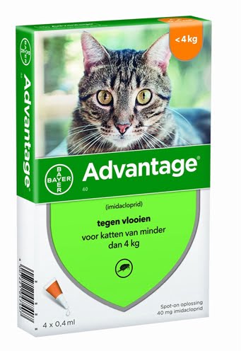 bayer advantage kat-1