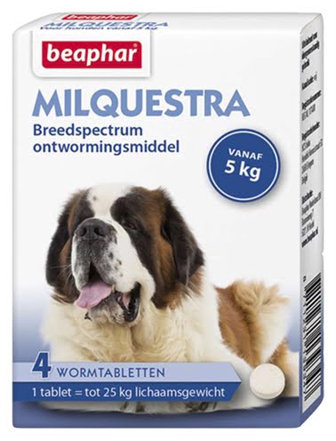 beaphar milquestra hond-1