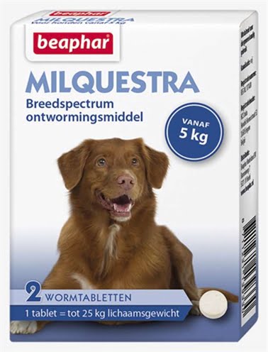 beaphar milquestra hond-1