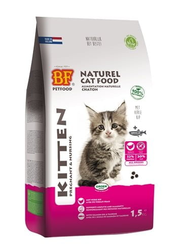 biofood premium quality kat kitten pregnant / nursing-1