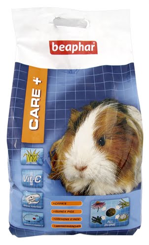 care+ cavia-1