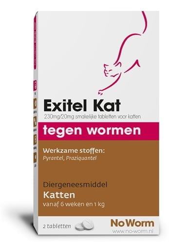 exitel kat no worm-1