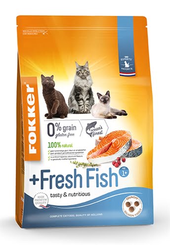 fokker kat +fresh fish-1