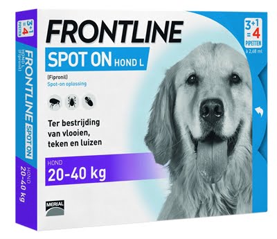 frontline hond spot on large-1