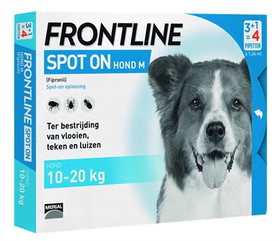 frontline hond spot on medium-1
