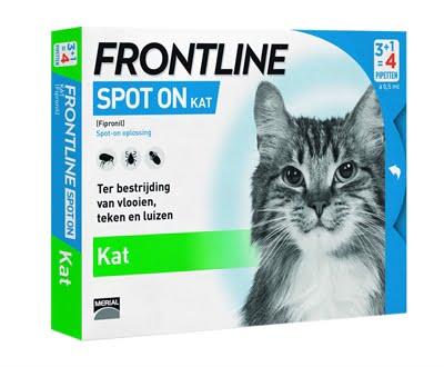frontline kat spot on-1