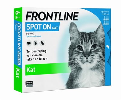 frontline kat spot on-1