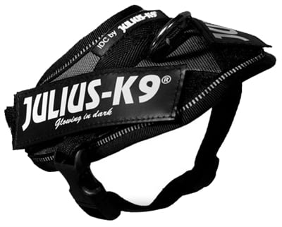 julius k9 idc power-harnas / tuig voor labels zwart-1