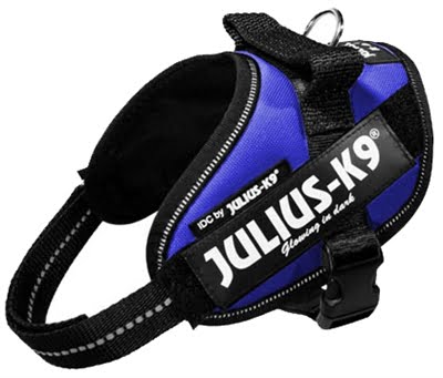 julius k9 power-harnas / tuig voor labels blauw-1