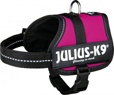 julius k9 power-harnas / tuig voor labels fuchsia-1