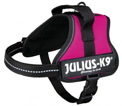 julius k9 power-harnas / tuig voor labels fuchsia-1