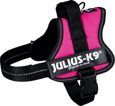 julius k9 power-harnas / tuig voor labels fuchsia-1