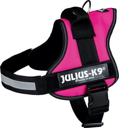 julius k9 power-harnas / tuig voor labels fuchsia-1