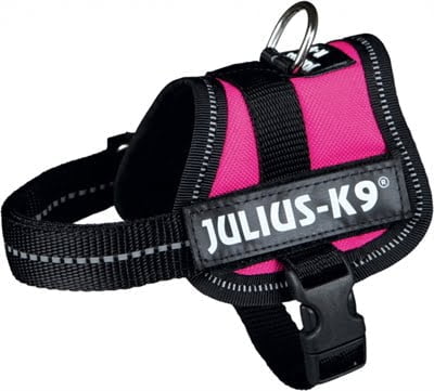 julius k9 power-harnas / tuig voor labels fuchsia-1