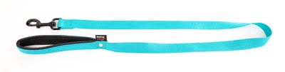 martin hondenriem nylon turquoise-1