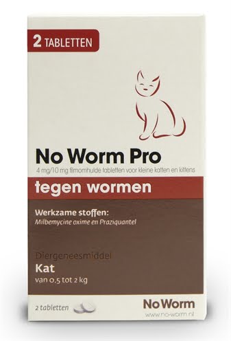 no worm pro kitten-1