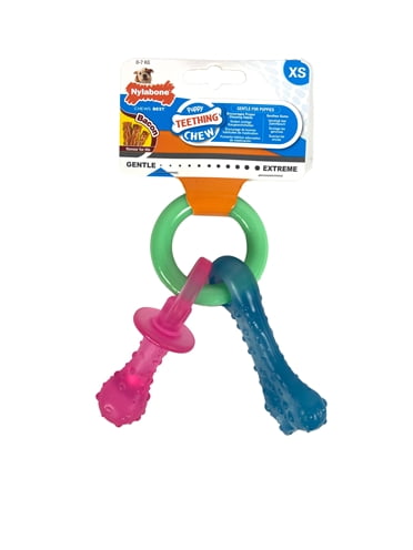 nylabone puppy chew bijtring speen / bot puppyspeelgoed-1