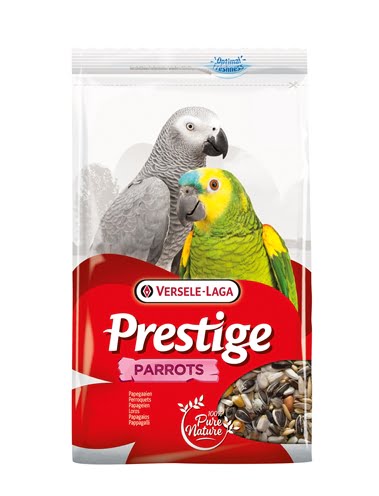 prestige papegaaien-1