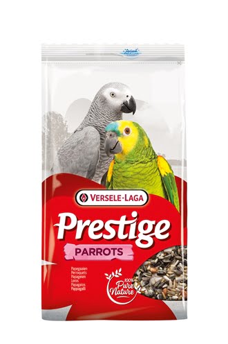 prestige papegaaien-1