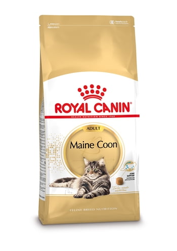 royal canin maine coon-1