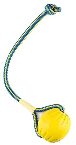 starmark swing 'n fling durafoam fetch bal aan koord-1