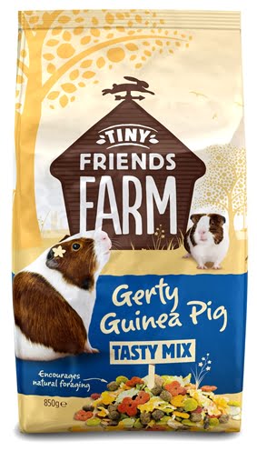 supreme gerty guinea pig original-1