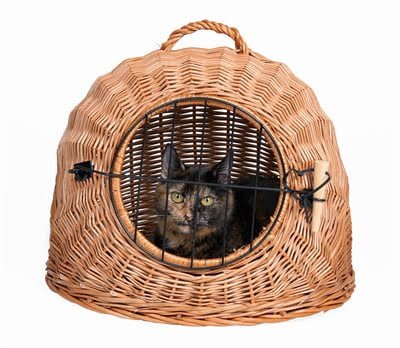 trixie rotan kattenmand met deur-1