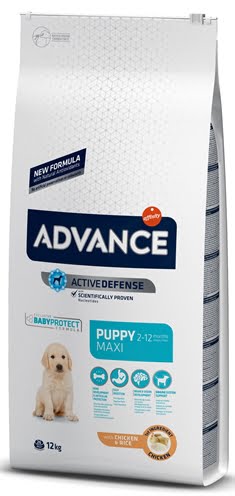 advance puppy protect maxi-1