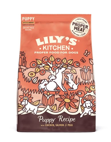 lily's kitchen dog puppy chicken / salmon-1