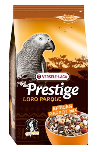 prestige premium afrikaanse papegaai-1