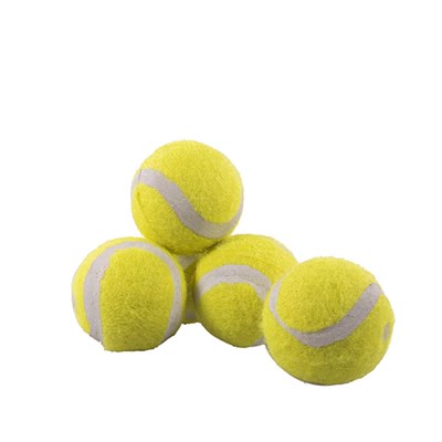 rosewood jolly doggy tennisbal mini-1