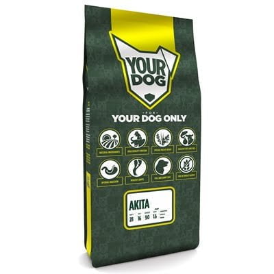 yourdog akita pup-1