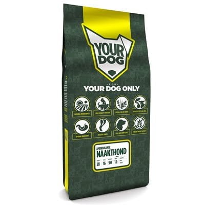 yourdog amerikaanse naakthond pup-1