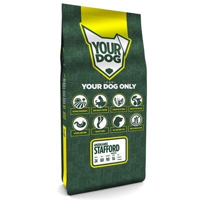 yourdog amerikaanse stafford senior-1