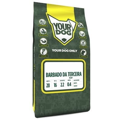 yourdog barbado da terceira pup-1