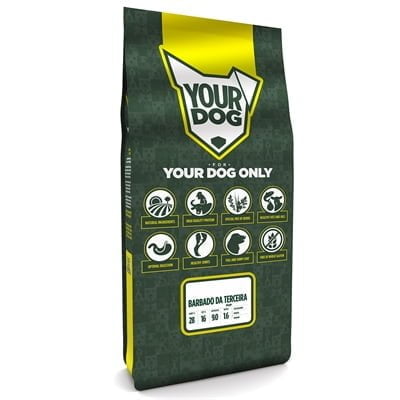 yourdog barbado da terceira pup-1