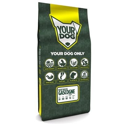 yourdog basset bleu de gascogne senior-1