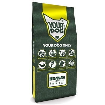 yourdog bergamasco volwassen-1