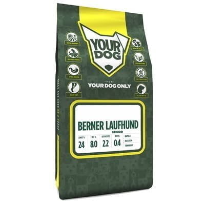 yourdog berner laufhund senior-1