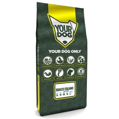 yourdog bracco italiano volwassen-1