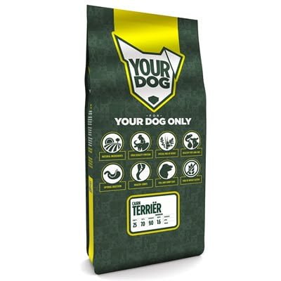 yourdog cairn terriër senior-1