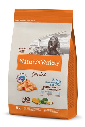 natures variety selected adult medium norwegian salmon-1