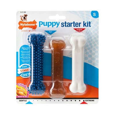 nylabone puppy chew puppy starter kit chicken-1