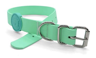 morso halsband hond waterproof gerecycled carribean green groen-1