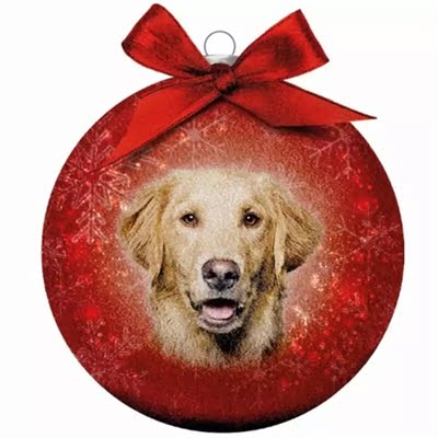 plenty gifts kerstbal frosted golden retriever rood-1