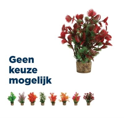 zolux ornament pastic plant op stenen puntig assorti-1